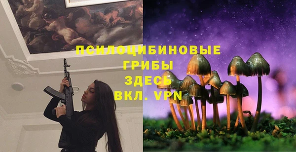 герыч Нея